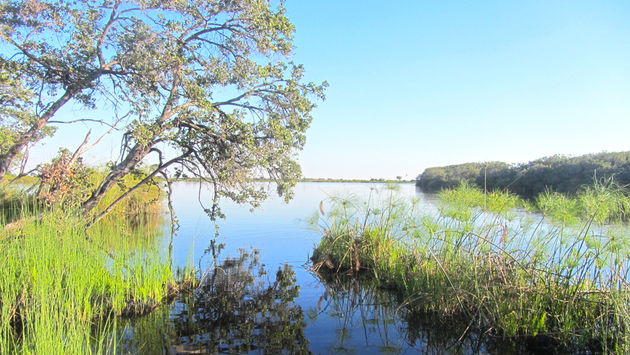 How the Okavango Swamps Became a Delta