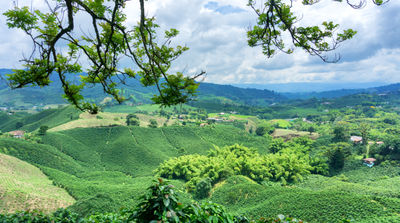 Landscape in Colombia. (photo via DC_Columbia/ iStock / Getty Images Plus)