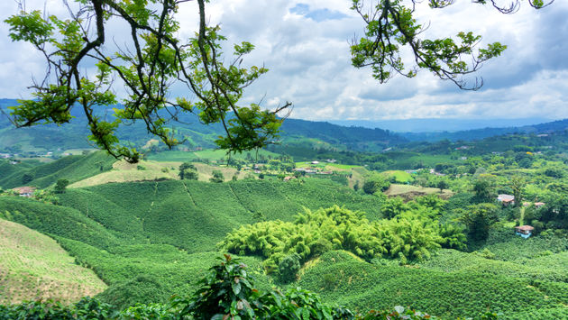 Landscape in Colombia.  (photo via DC_Columbia/iStock/Getty Images Plus)