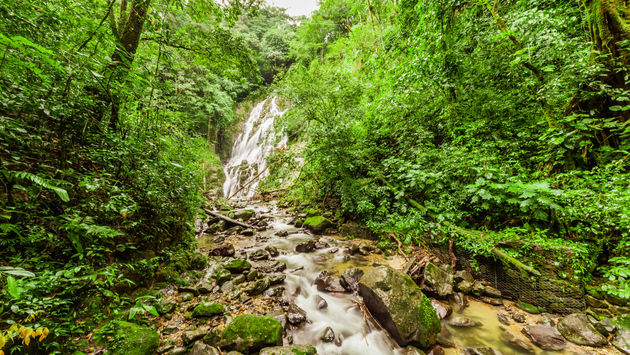 Chorro el Macho, a waterfall in El Valle de Anton, Panama (Jan-Schneckenhaus / iStock / Getty Images Plus)