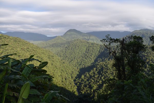 Photo of Costa Rica logra el reconocimiento del Consejo Global de Turismo Sostenible