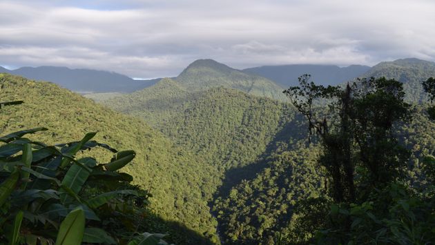 Braulio Carrillo National Park, Costa Rica