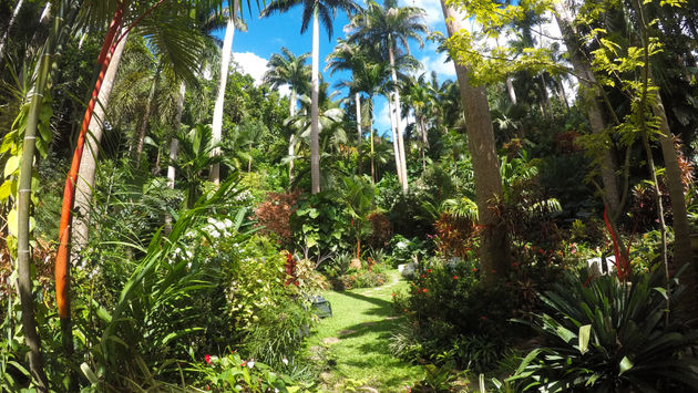 Hunte's Gardens, Barbados