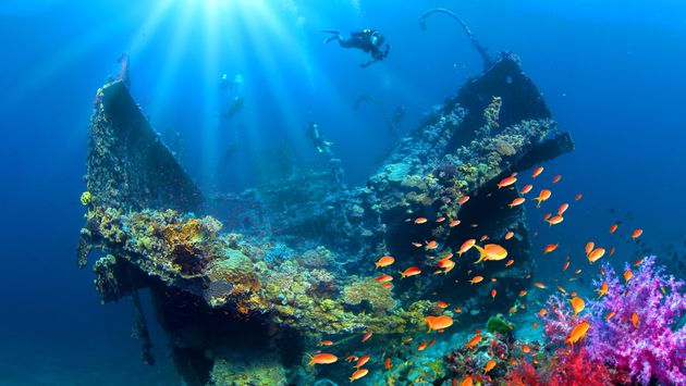 shipwreck, diving, scuba diving, Saudi Arabia, Red Sea, best places to dive, Saudi Tourism Authority