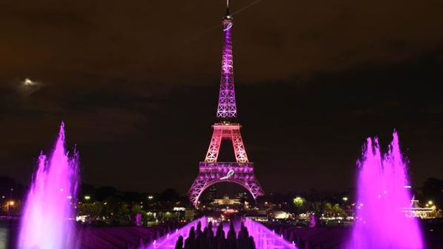 Elfen Lied PINK PARIS EIFFEL TOWER WITH LED LIGHT Lilium