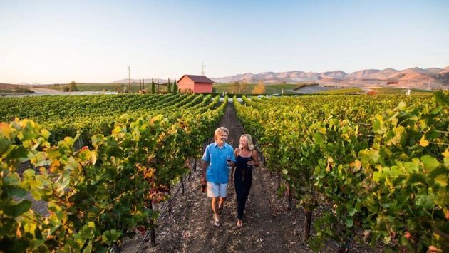 couple, vineyard, winery, Edna Valley, San Luis Obispo, Central Coast, California