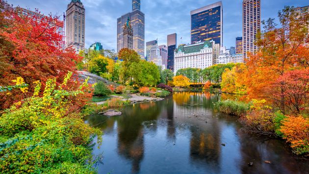 New York City's Central Park during the fall