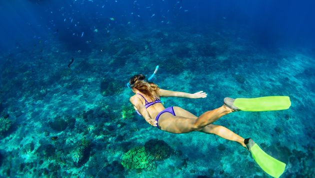 Woman snorkeling coral reef