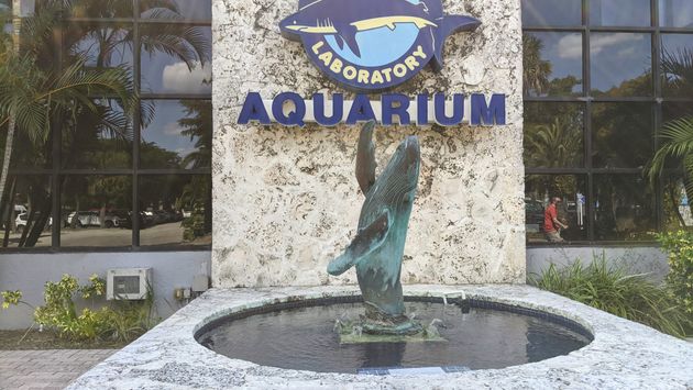 Mote Aquarium in Sarasota, Florida