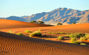 Namibian desert.