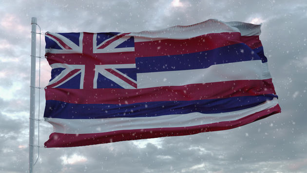 Hawaiian, Hawaii, state, flag, storm, snow, snowflakes