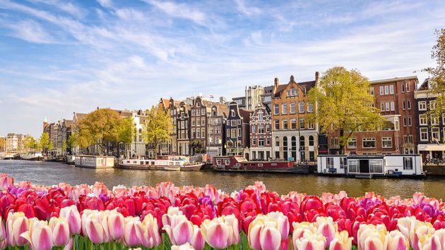 Amsterdam city skyline at canal waterfront with spring tulip flower, Amsterdam, Netherlands