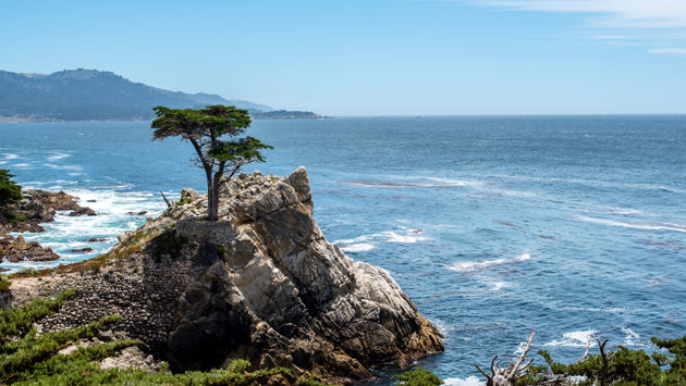The Lone Cypress along 17-Mile Drive on the Monterey Peninsula.