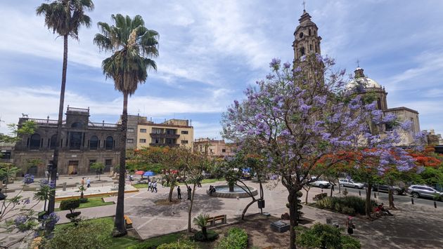 plaza in Guadalajara, flowers, church