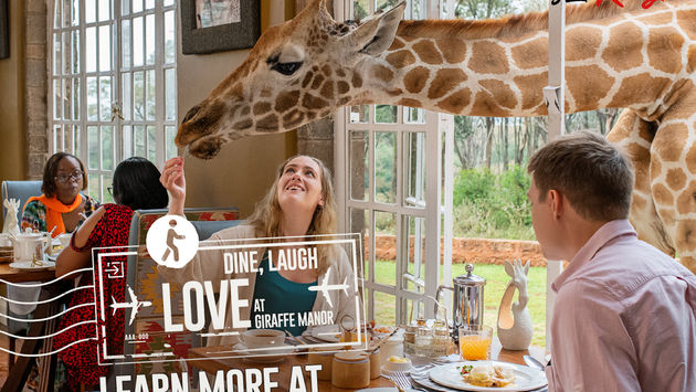 Kenya, marketing, campaign, advertising, giraffes, manor