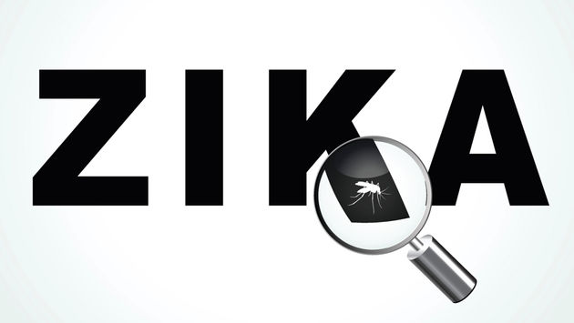 zika, virus, outbreak
