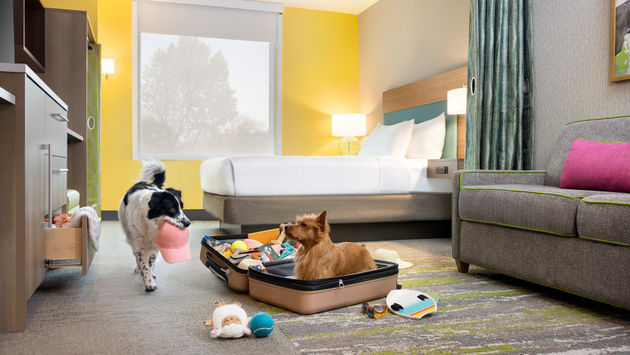 Home2 Suites by Hilton, Hilton, pet-friendly, dog, pets