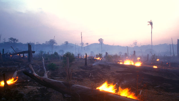 FOTO: Un incendio forestal en el Amazonas. (foto de Brasil2 / E+ Getty Images)