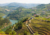 The Douro River bisects Portugal