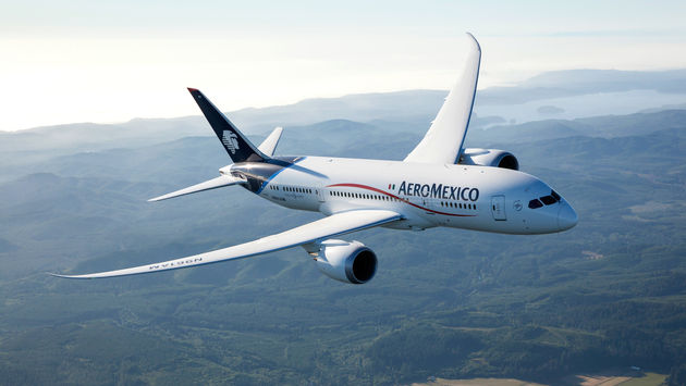 Hasta antes de la pandemia, Aeroméxico contaba con una flota operativa de 126 equipos Boeing 787 y 737, así como Embraer 170 y 190.