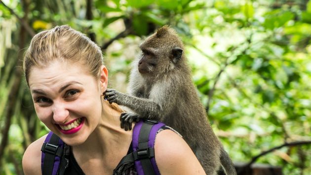 A woman interacts with monkeys in Bali, Indonesia