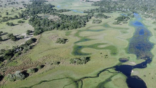 Aerial view of Brazil's Pantanal region, South America, Pantanal, Brazil