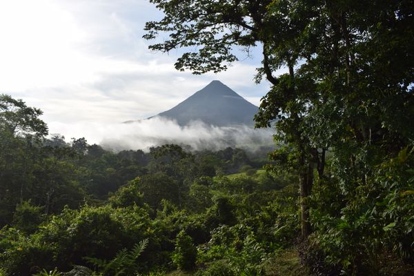 Photo of Cómo se prepara Costa Rica para reabrir el turismo en julio