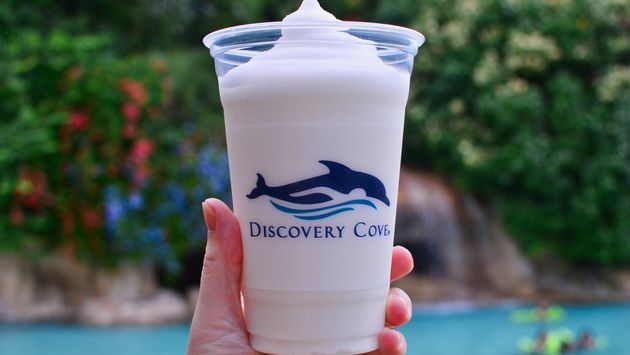 Experiencing A Family Getaway At Discovery Cove In Orlando