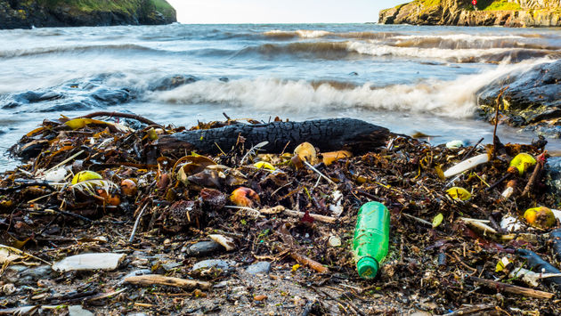 Beach rubbish and garbage washed up on shoreline. (photo courtesy of Nigel_Wallace / iStock / Getty Images Plus)
