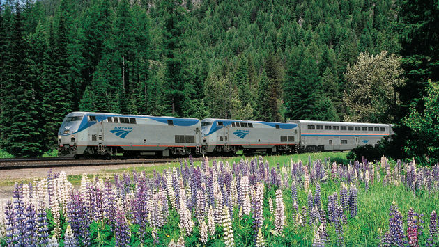 An Amtrak long-distance train travels through the lush forests and wildflower meadows of the Pacific Northwest.