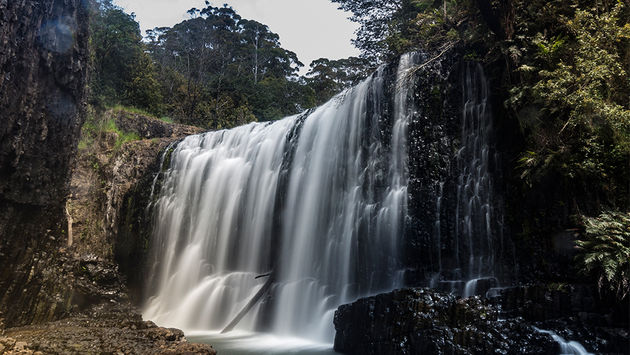 Guide Falls, Tasmania