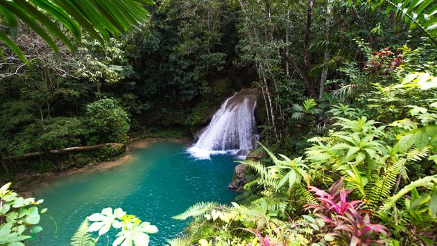 A waterfall in Ocho Rios, Jamaica