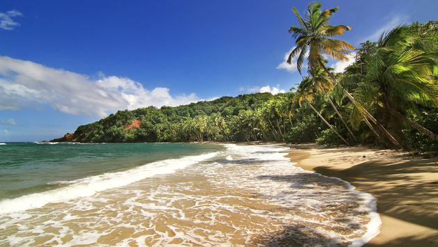 A beautiful beach in Dominica