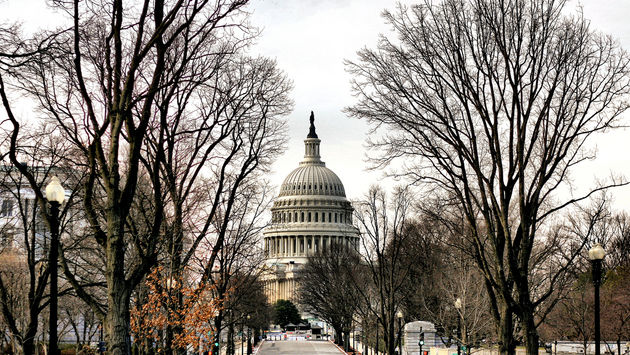 US Capitol, Washington, DC