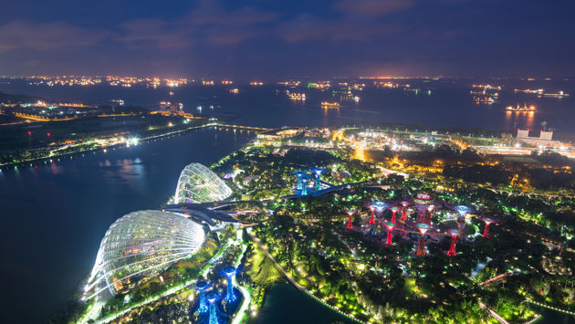 Aerial night view of Gardens by the Bay in Singapore