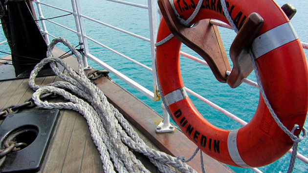 Lifesaver on a cruise ship
