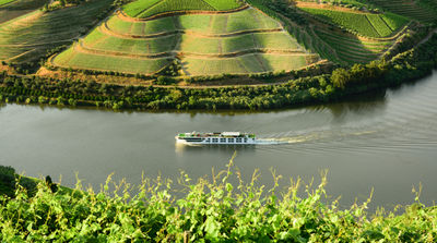 The Scenic Azure sails past vineyards on the Douro River in Portugal