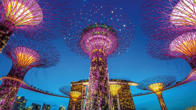 Singapore's Gardens by the Bay at night