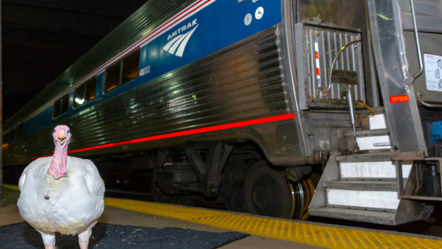 Amtrak Offering Black Friday Deals For First Time Ever Travelpulse
