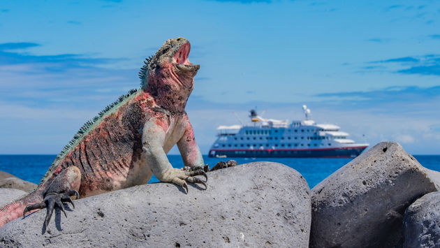 Hurtigruten Galapagos cruises