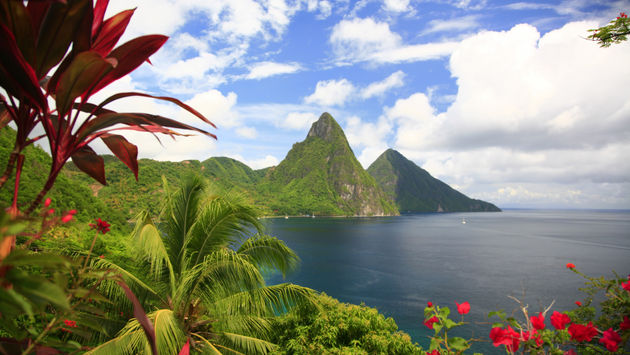 Pitons and flowers in Saint Lucia