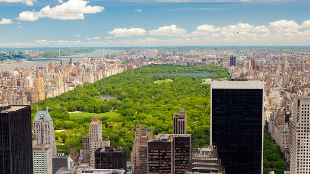 Aerial, New York City, NYC, Central Park park, skyscrapers, New York, skyline