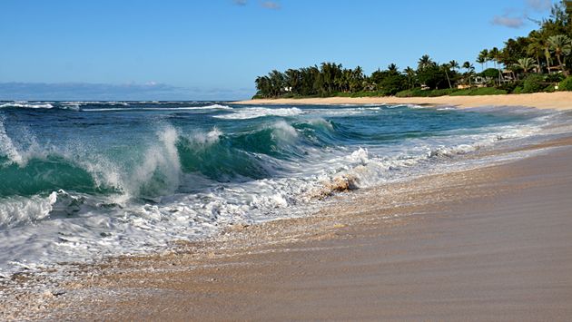 Breaking Wave on Oahu’s North Shore
