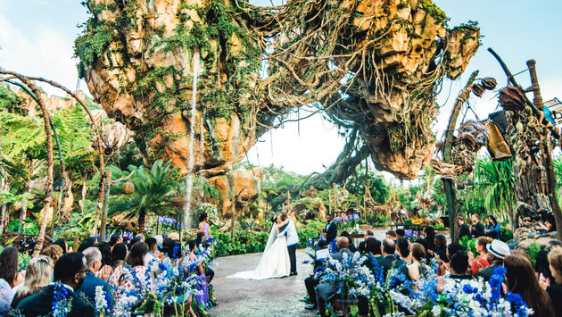 Disney’s Fairy Tale Weddings & Honeymoons.