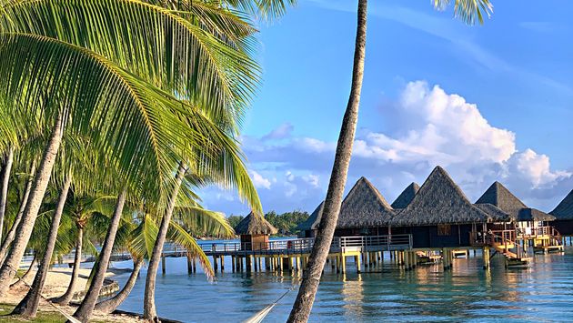 Palm trees and hammock on beach with overwater bungalows on lagoon
