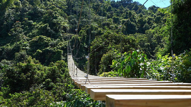 Zip line Toro Verde Ecological Adventure Park Puerto Rico