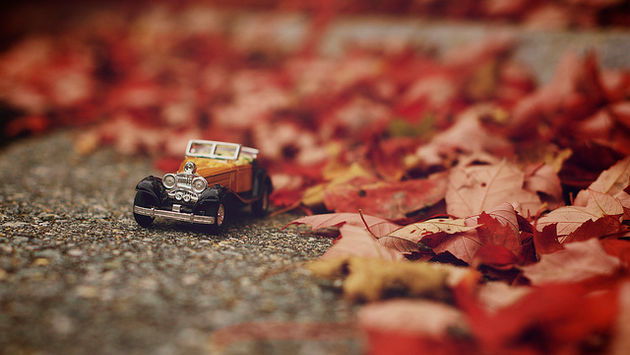 small car on road with autumn leaves