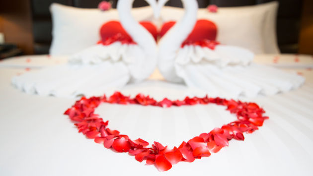 red petals, romantic, valentine's day, heart towels, hotel bed
