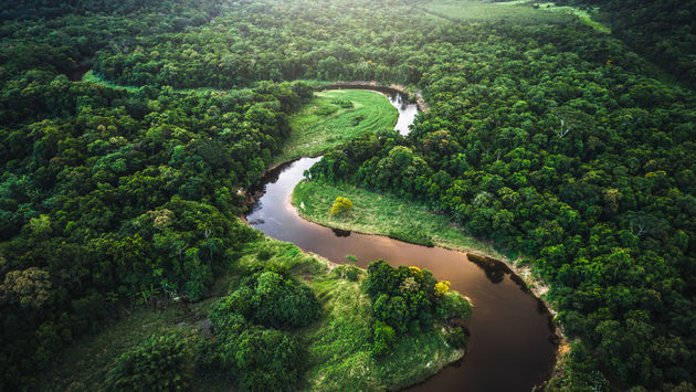 Atlantic Forest, Brazil, river