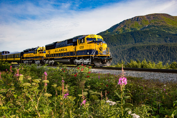 Alaska Railroad Resumes Full Summer Schedule After Two-Year Hiatus